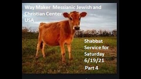 Parashat Chukat- Shabbat Service for 6.19.21 - Part 4