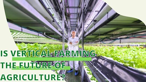 What is vertical farming?