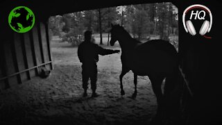 Keeping my horse safe during wicked lightning storm