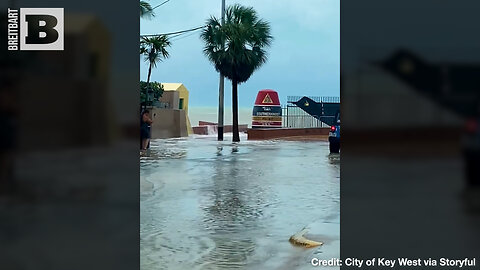 BATTEN DOWN THE HATCHES! Hurricane Idalia's Outer Bands Bring Flooding to Key West