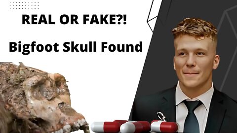 REAL OR FAKE?! Big Foot Skull Found