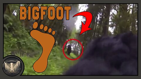 Bigfoot Captured On GoPro By Dog