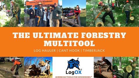 The LogOX is a BACK SAVER for Anyone Processing Firewood or Doing Tree Work. See Why!!