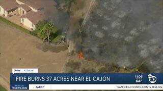 Residents grateful for Cal Fire response to vegetation fire near El Cajon