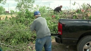 Here's where you can drop off tree limbs around the Denver metro area after last week's snowstorm