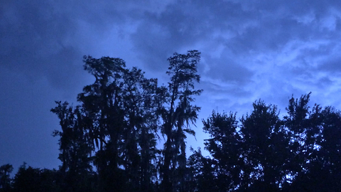 Incredible Tampa Blue Sky Sheet Lightning Storm