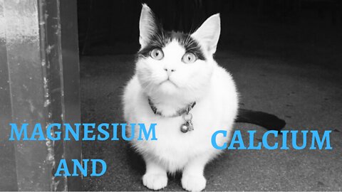 Magnesium and Calcium