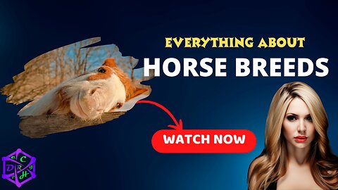 Top 10 Incredible Horse Breeds