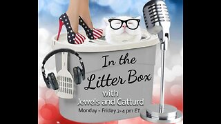 Free Speech - In the Litter Box w/ Jewels & Catturd 11/30/2022 - Ep. 217