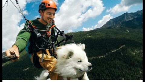 How Ouka the dog became an expert paraglider