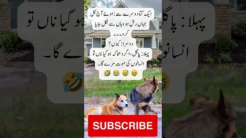 Dogs and humans | interesting facts | funny quotes | joke in Urdu