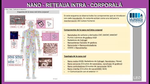 NANO - RETEAUA INTRA - CORPORALA