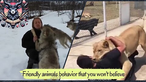 friendly animal behavior that you won't believe