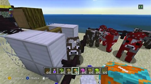 Minecraft World Tour | Part 4 | Xbox 360