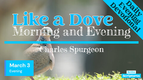 March 3 Evening Devotional | Like a Dove | Morning and Evening by Charles Spurgeon