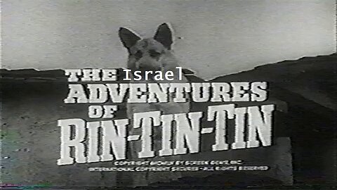 The Israel Adventures of Rin-Tin-Tin