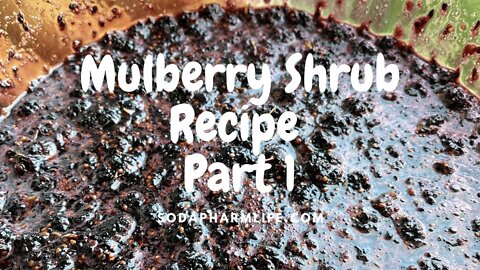 Mulberry Shrub Recipe- Part 1