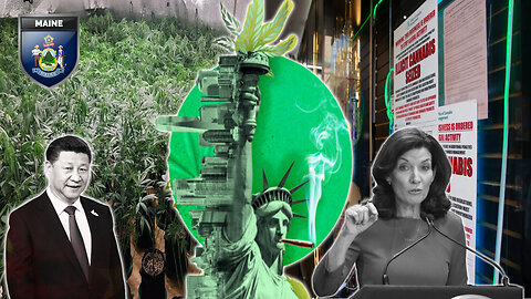 New York Authorities Unable to Stop the Flow of Illegal Cannabis