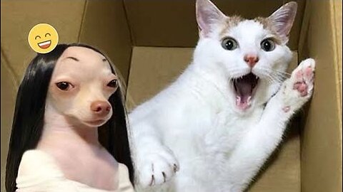 1 Hour Of Funniest Animals 😅 New Funny Cats and Dogs Videos 😸🔥