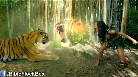 'Katy Perry - Roar (Hidden Witchcraft)' - Bible Flock Box - 2013