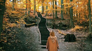 Ontario’s Secret Woodland Staircase Will Lead You Through A Colourful Paradise This Fall
