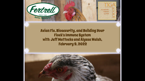 Avian Flu, Biosecurity, Your Flock's Immune System, Jeff Mattocks and Alyssa Walsh