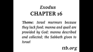 Exodus Chapter 16 (Bible Study)