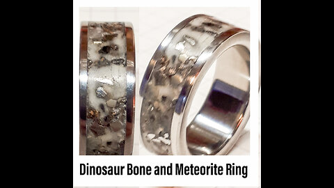 Titanium, Meteorite and Dinosaur Bone Ring