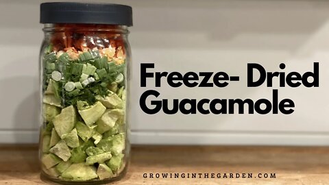 Freeze-Dried GUACAMOLE : DELICIOUS Guacamole from all FREEZE-DRIED Ingredients