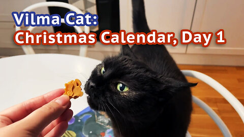 Vilma Cat Christmas Calendar Day 1