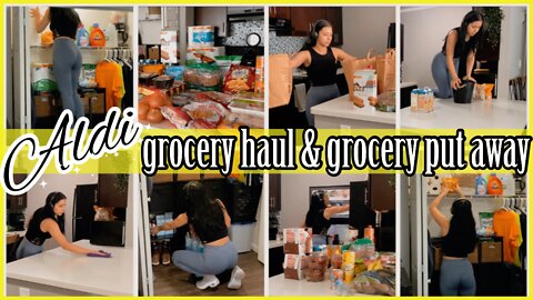 *NEW* TWICE A MONTH ALDI GROCERY HAUL & GROCERY PUT AWAY 2022 | SUMMER ALDI GROCERY HAUL | ez tingz