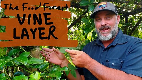 Edible Vines for a Tropical Food Forest