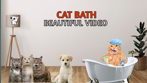Spa day of my Cat 🐱 | Pet lovers 🐶 | Funny video 😂
