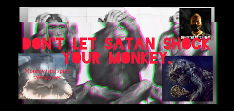 'MONKEY' = Sin Spirit. Satan wants to shock your monkey. Hebrew Gematria decode: "Trap your Monkey!"
