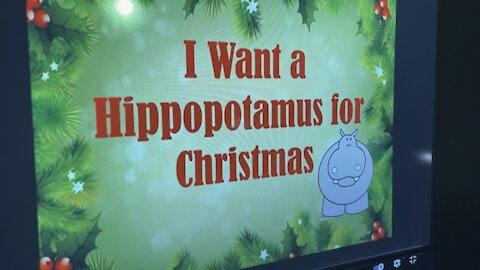 Hippopotamus for Christmas