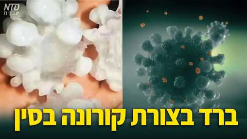 ברד בצורת קורונה בסין