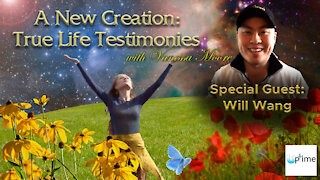 A New Creation: True Life Testimonies - Will Wang