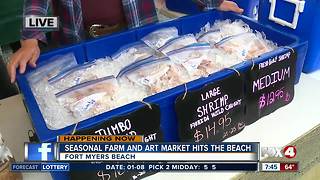Season farm and art market opens on Fort Myers Beach - 7:30am live report