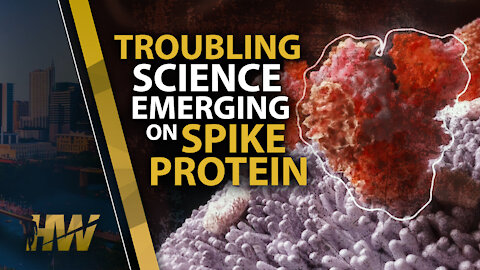 TROUBLING SCIENCE EMERGING ON SPIKE PROTEIN