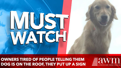 Owners Tired Of People Telling Them Dog Is On The Roof, They Put Up A Sign That's Going Viral