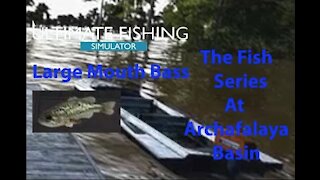 Ultimate Fishing Simulator: The Fish - Archafalaya Basin - Largemouth Bass - [00028]