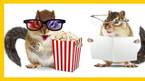 top cute and funny squirrel videos 2022 3,810 viewsJun 17, 2020