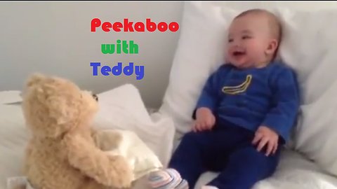 Teddy Playing Peekaboo with Kid