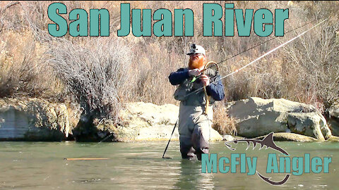 Winter MIDGE Fly Fishing On the San Juan River Tailwater for Trout - McFly Angler Episode 1