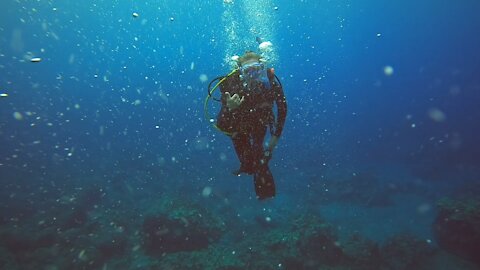 Diving with my Favorite Dive Buddy! My wife!! 🤙🤙