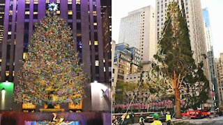 The Rockefeller Christmas Tree Has Arrived In NYC & It's On Brand For 2020