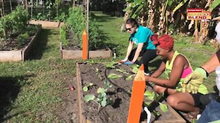 University Area's Harvest Hope Park | Morning Blend