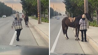 Brave woman stops runaway horse