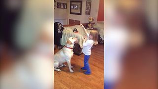 "A Young Girl Tells A Big Lab Dog to Jump Up for A Treat and He Tackles Her"