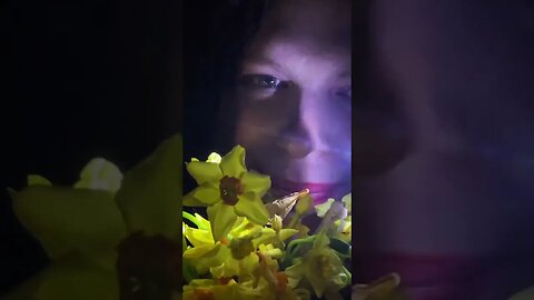 Daffodil inspection & Mouth Sounds for Relaxation 🌼 #asmr #shortsvideo #asmrshorts #shorts
